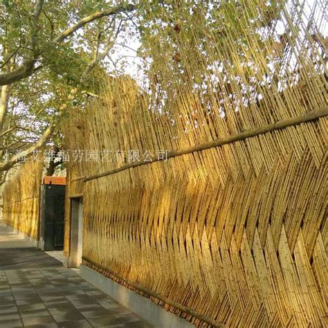 竹子圍牆 地格10